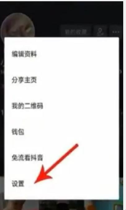 tiktok国际版