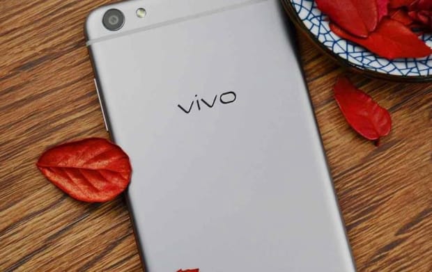 vivo