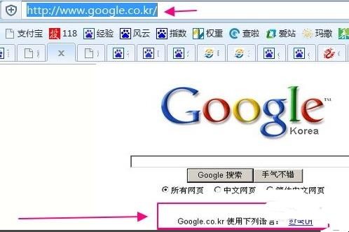 google打不开怎么办