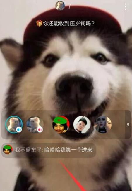 陌陌怎么聊天