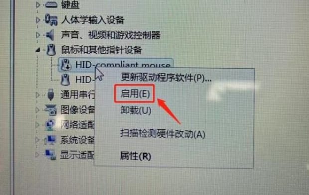 DELL笔记本怎么关闭触摸板