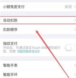 支付宝蚂蚁会员