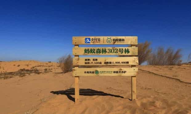 蚂蚁森林保护罩怎么获得