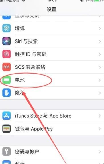 苹果电池寿命在哪看