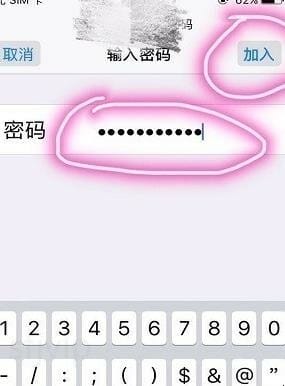苹果手机怎么上网