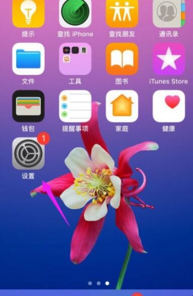 苹果facetime怎么用不了了