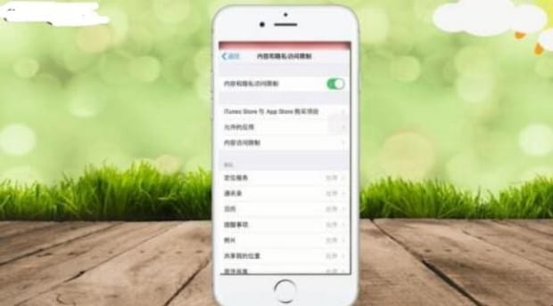 苹果手机如何限制应用联网,苹果手机访问限制在哪里