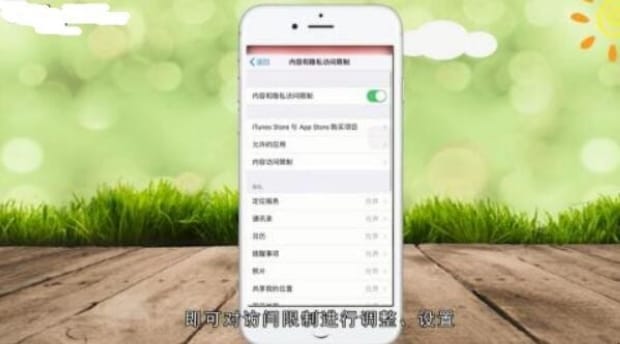 苹果手机如何限制应用联网,苹果手机访问限制在哪里