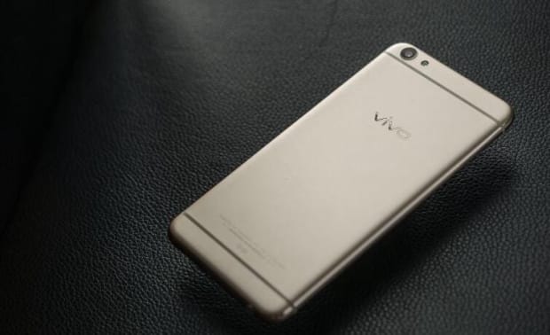 VIVO