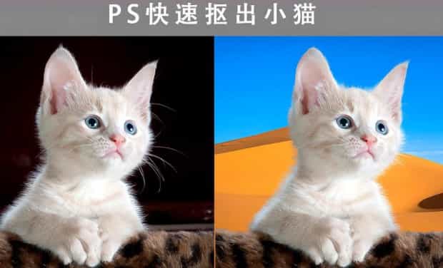 ps快速抠图技巧有哪些,ps抠图最快又完整的方法教程