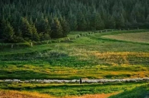 手机怎么让图片变高清 手机怎么让图片变高清