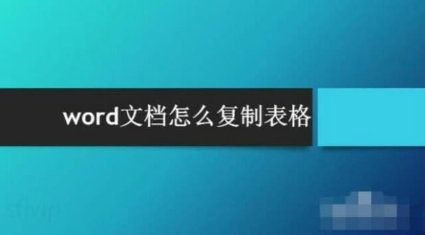 word文档怎么复制表格
