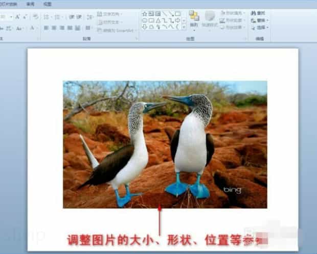 在PPT中怎么添加图片