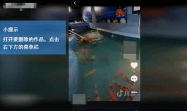 抖音视频怎么删除作品 抖音视频怎么删除作品