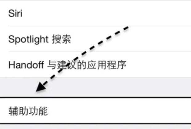 苹果小白点