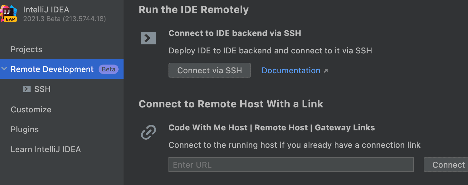Java 编辑器 IntelliJ IDEA 2021.3 RC 发布