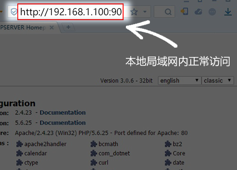 花生壳 WAMP 部署WEB站点