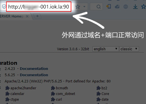 花生壳 WAMP 部署WEB站点
