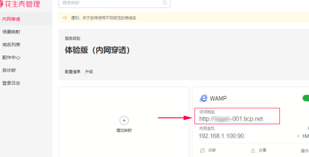 花生壳 WAMP 部署WEB站点