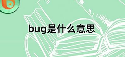 bug是什么意思
